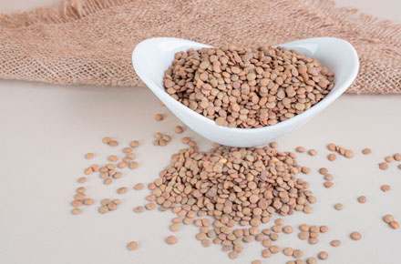 capitulare-servicios-alimentos-lenteja